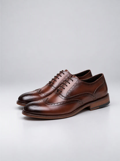 Savile Men's Burnished Brown Wingtip Brogue Oxford Shoes - Pair Studio Hero View